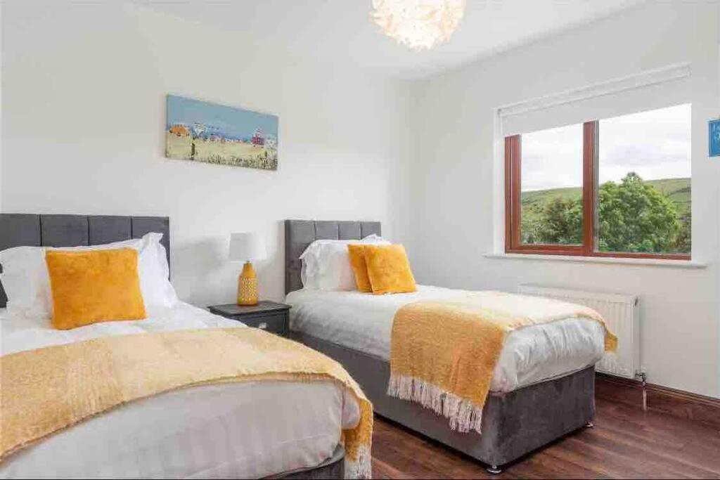 Wonderful Coastal Home In Dingle Town Eksteriør billede